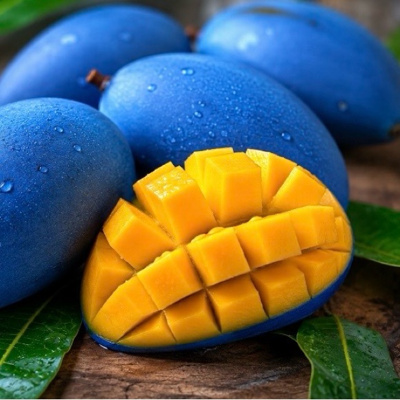 bluemango25